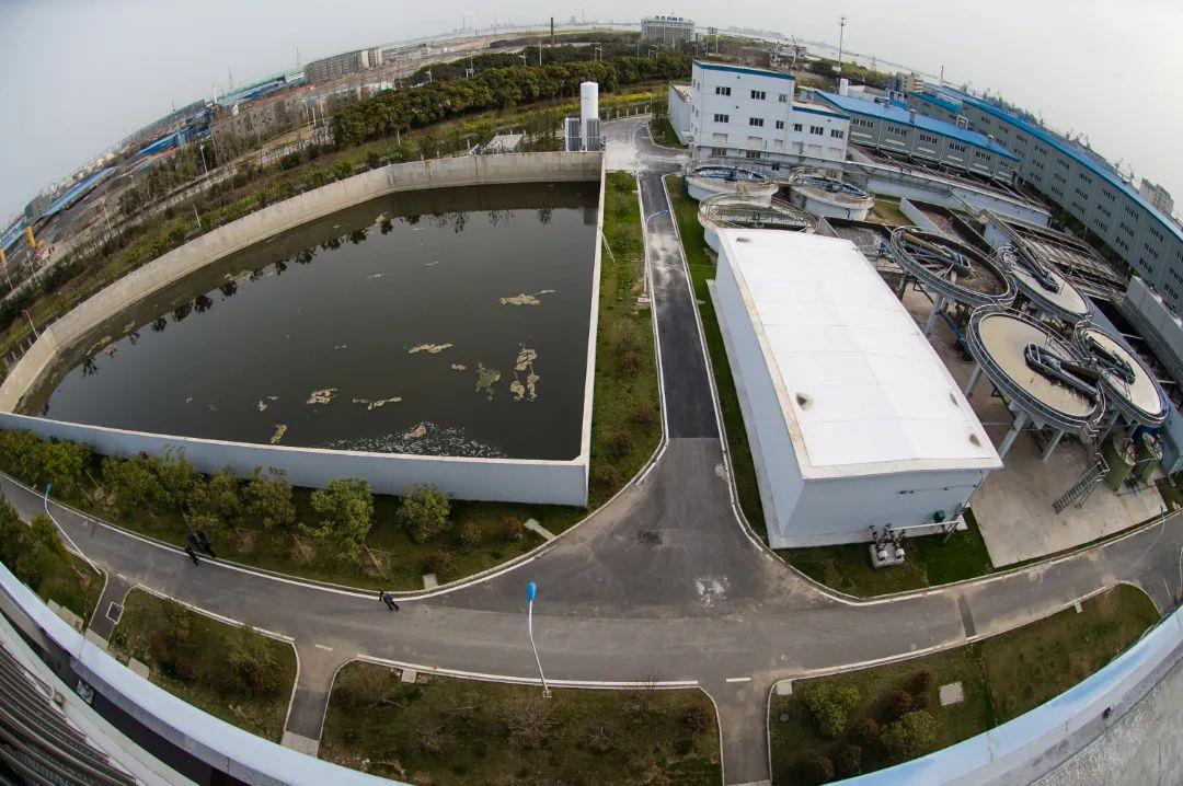 1662435679291970.jpg d61cef35b6aff05b5021fa468d17cf0.jpg